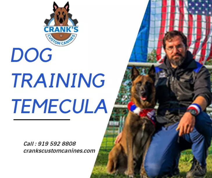 Dog Training Temecula