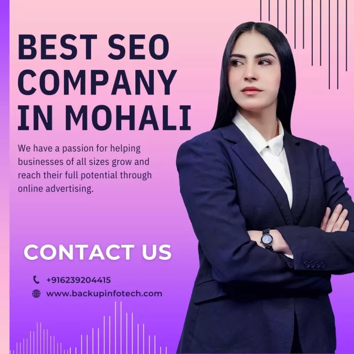 SEO Company In Mohali