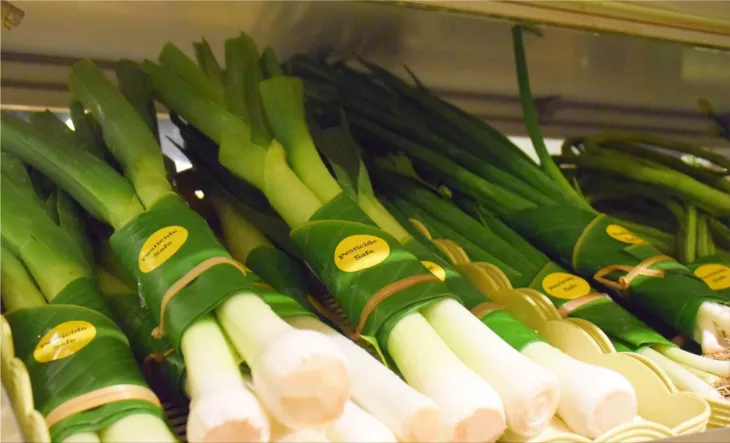 banana leaves as packaging material