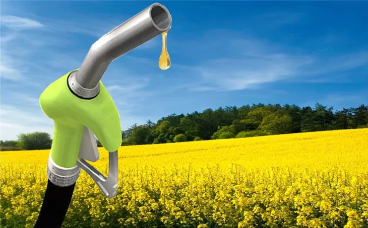 How Vegetable Oils Can Power Up Diesel Engines and Reduce Emissions