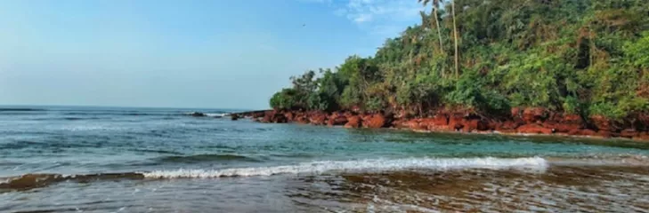 Plan Top Beach Tours In Kerala To Explore The Serene Shores Of Kovalam And Varkala