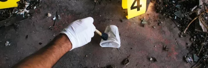 crime scene cleanup lakewood