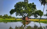 Best suitable itinerary for Family and Friends to visit Kerala from Rajkot