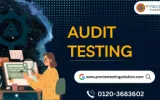Audit Testing 