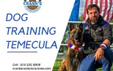 Dog Training Temecula