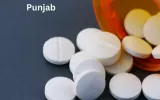  de-addiction center in punjab