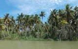 Enjoy The Best Offbeat Backwaters Experiences In Kerala