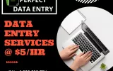 Perfect Data Entry