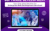 custom enterprise software development