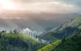 Best Places for Traveling in Kerala from Aurangabad To Enjoy A Memorable Time